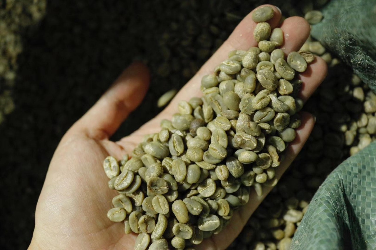 Coffee bean inspection after roasting
